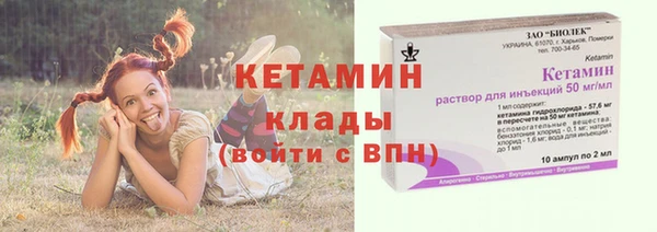 шишки Вязьма