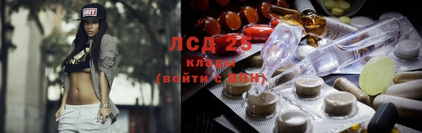 шишки Вязьма