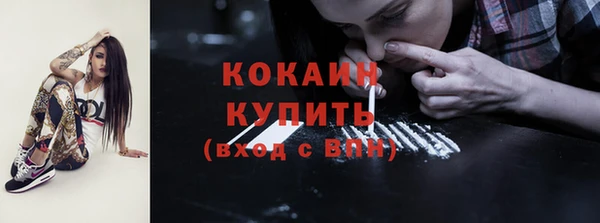 шишки Вязьма
