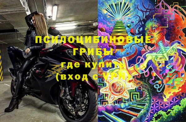 шишки Вязьма
