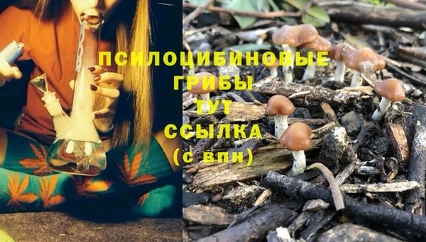 мдпв Снежногорск