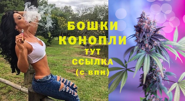 шишки Вязьма