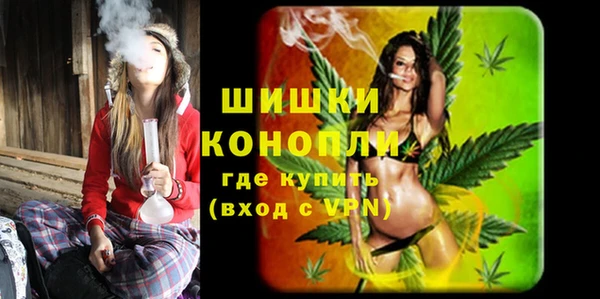 шишки Вязьма