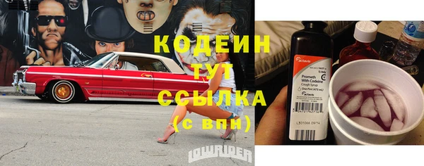 ГАЛЛЮЦИНОГЕННЫЕ ГРИБЫ Слюдянка