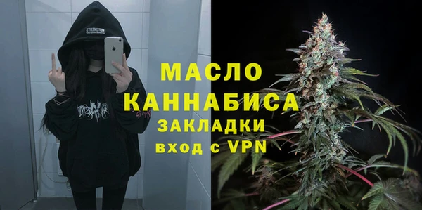2c-b Горно-Алтайск