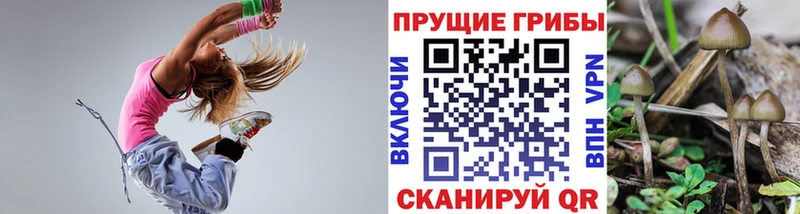 наркошоп  Ахтырский  Галлюциногенные грибы Magic Shrooms 